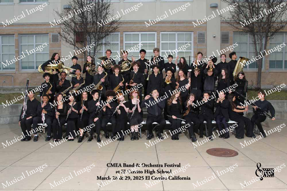 Musical Images